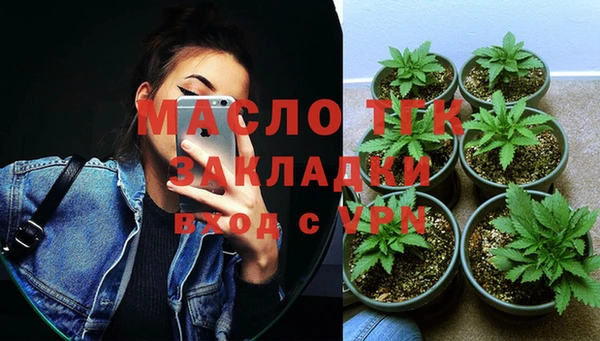 дурь Ельня