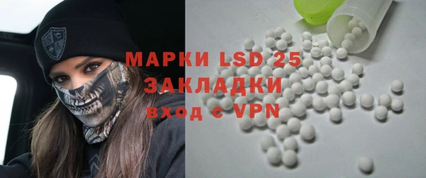 сатива Елизово