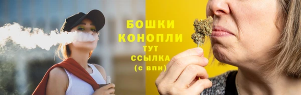 дурь Ельня