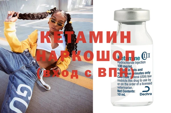 сатива Елизово