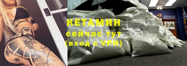 сатива Елизово